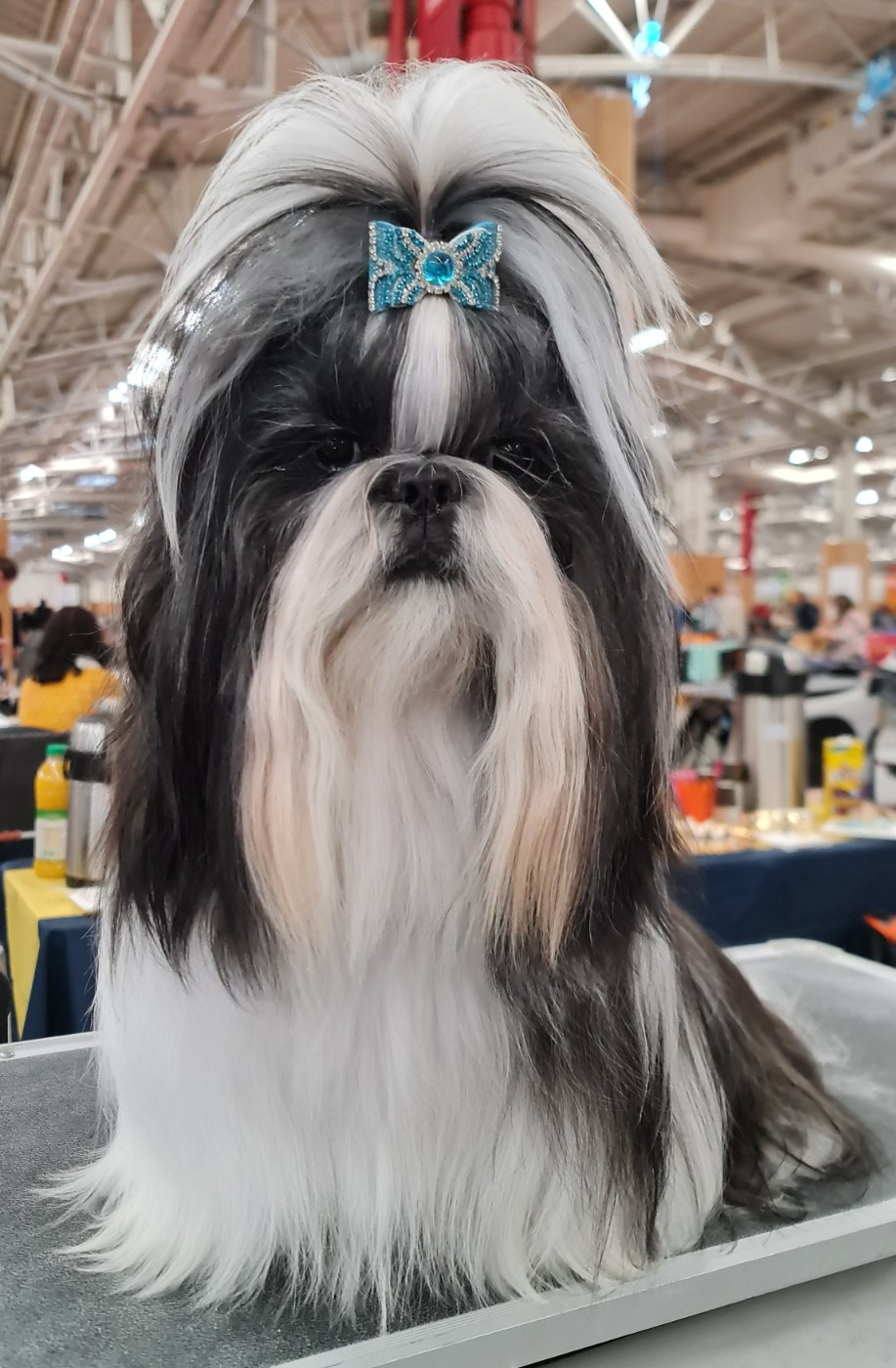 CH. V'washington From Mellandco