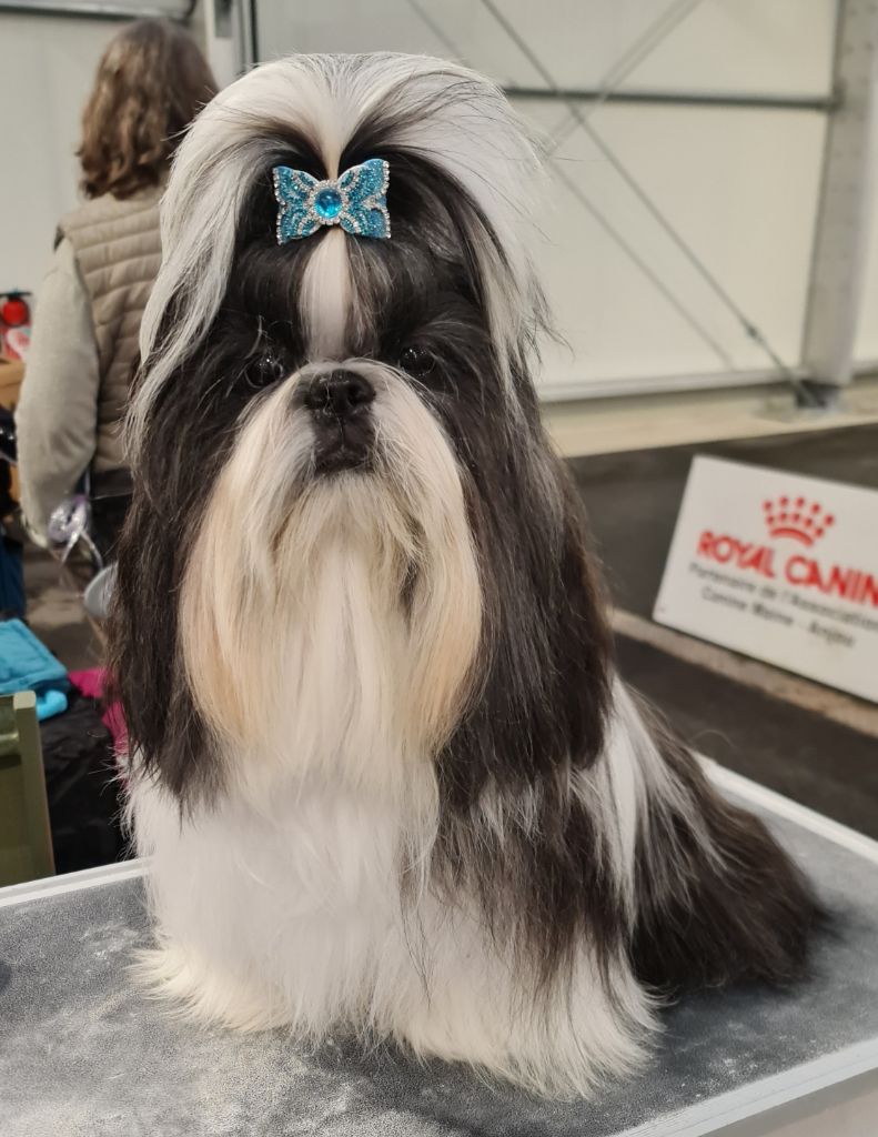 CH. V'washington From Mellandco