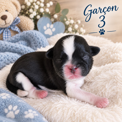 Garçon 3